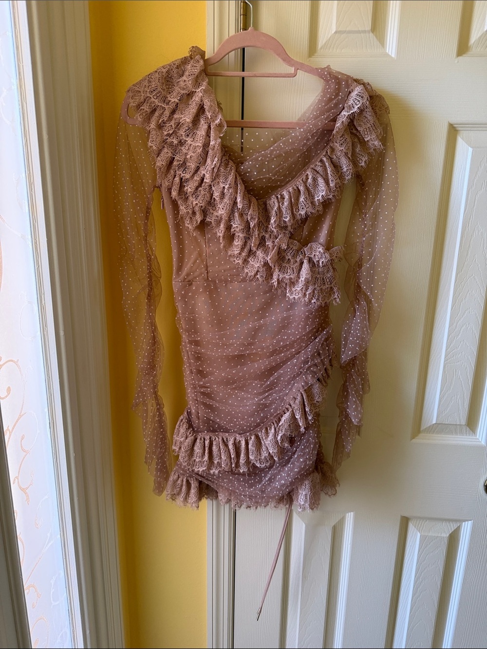 Ruffled Dot Mesh Long-Sleeve Top in Dusty Rose